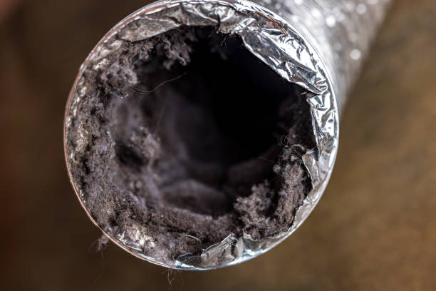 Best Ventilation Cleaning Services  in Hampton, VA